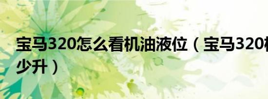 宝马320怎么看机油液位（宝马320机油加多少升）