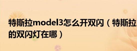 特斯拉model3怎么开双闪（特斯拉model3的双闪灯在哪）