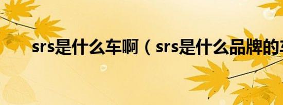 srs是什么车啊（srs是什么品牌的车）