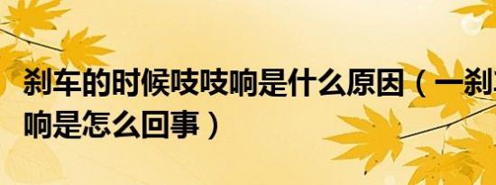 刹车的时候吱吱响是什么原因（一刹车就吱吱响是怎么回事）