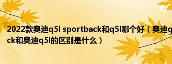 2022款奥迪q5l sportback和q5l哪个好（奥迪q5lsportback和奥迪q5l的区别是什么）