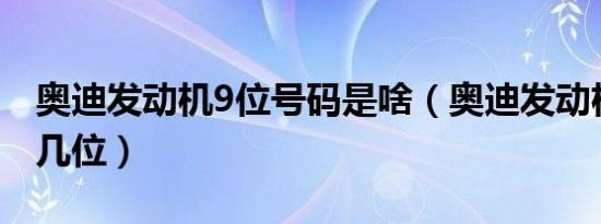 奥迪发动机9位号码是啥（奥迪发动机号码是几位）