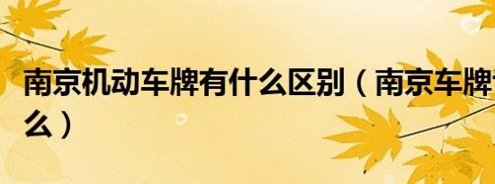 南京机动车牌有什么区别（南京车牌识别是什么）