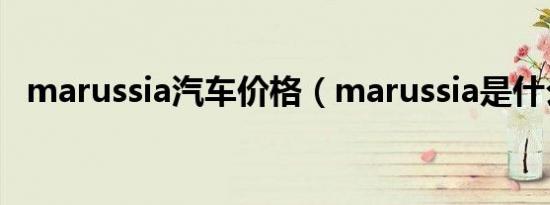 marussia汽车价格（marussia是什么车）