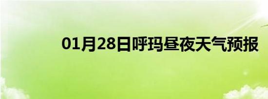 01月28日呼玛昼夜天气预报