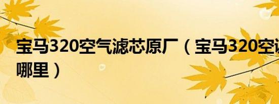 宝马320空气滤芯原厂（宝马320空调滤芯在哪里）