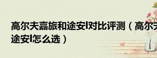 高尔夫嘉旅和途安l对比评测（高尔夫嘉旅和途安l怎么选）