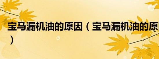 宝马漏机油的原因（宝马漏机油的原因是什么）