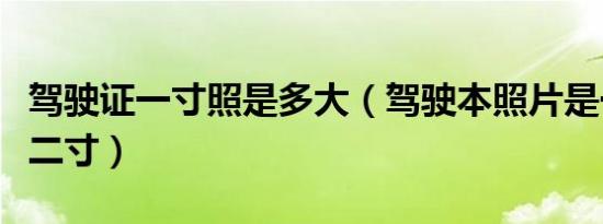 驾驶证一寸照是多大（驾驶本照片是一寸还是二寸）