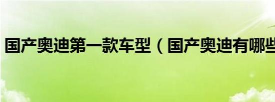 国产奥迪第一款车型（国产奥迪有哪些车型）