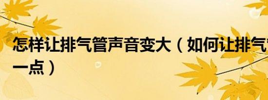 怎样让排气管声音变大（如何让排气管声音小一点）