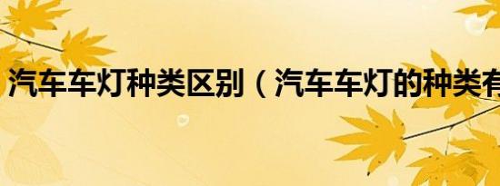 汽车车灯种类区别（汽车车灯的种类有哪些）