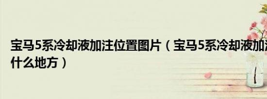 宝马5系冷却液加注位置图片（宝马5系冷却液加注口位置在什么地方）