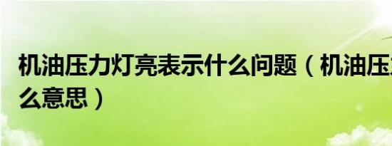 机油压力灯亮表示什么问题（机油压力灯亮什么意思）