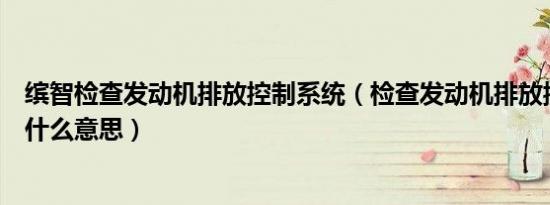 缤智检查发动机排放控制系统（检查发动机排放控制系统是什么意思）