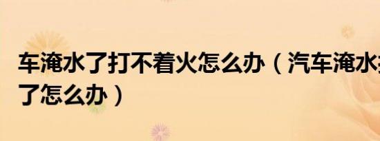 车淹水了打不着火怎么办（汽车淹水打不着火了怎么办）