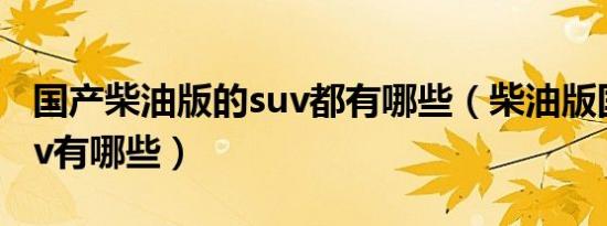 国产柴油版的suv都有哪些（柴油版国产的suv有哪些）