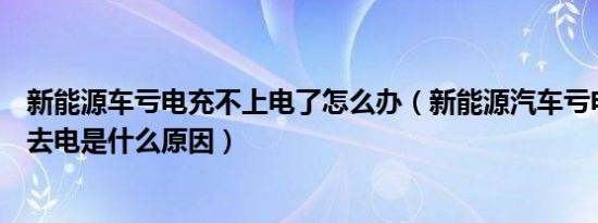 新能源车亏电充不上电了怎么办（新能源汽车亏电了充不进去电是什么原因）