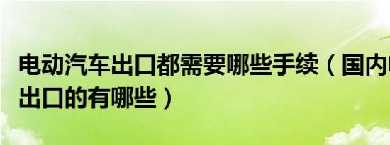 电动汽车出口都需要哪些手续（国内电动汽车出口的有哪些）