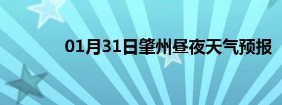 01月31日肇州昼夜天气预报