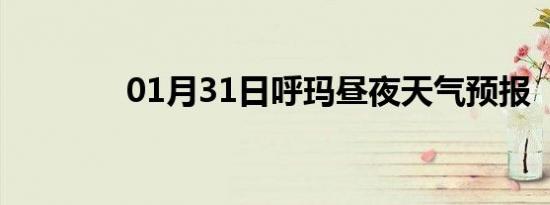 01月31日呼玛昼夜天气预报