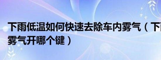 下雨低温如何快速去除车内雾气（下雨车内有雾气开哪个键）