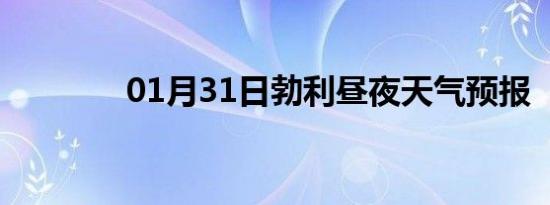 01月31日勃利昼夜天气预报