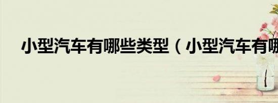 小型汽车有哪些类型（小型汽车有哪些）