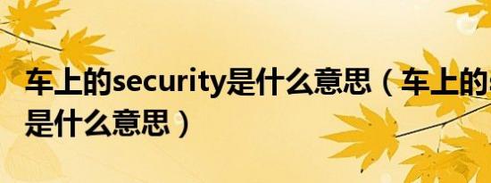 车上的security是什么意思（车上的security是什么意思）