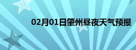 02月01日肇州昼夜天气预报