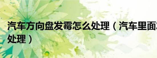 汽车方向盘发霉怎么处理（汽车里面发霉怎么处理）