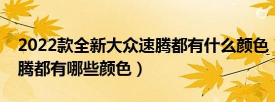 2022款全新大众速腾都有什么颜色（大众速腾都有哪些颜色）