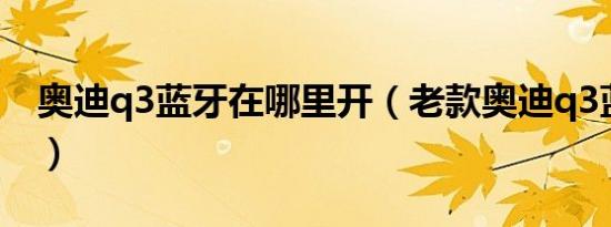奥迪q3蓝牙在哪里开（老款奥迪q3蓝牙在哪）