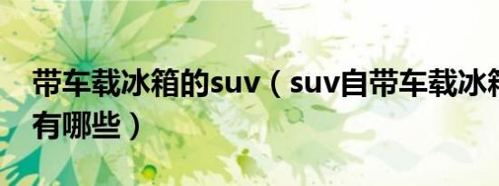 带车载冰箱的suv（suv自带车载冰箱的汽车有哪些）