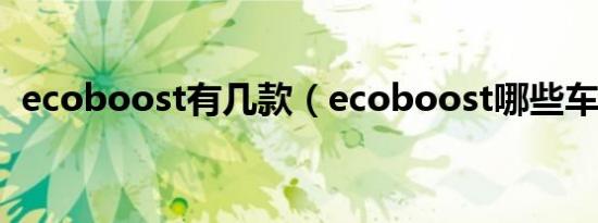 ecoboost有几款（ecoboost哪些车在用）