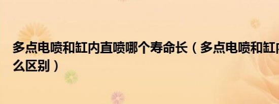 多点电喷和缸内直喷哪个寿命长（多点电喷和缸内直喷有什么区别）