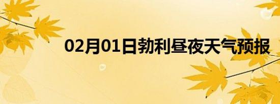02月01日勃利昼夜天气预报