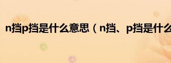 n挡p挡是什么意思（n挡、p挡是什么意思）