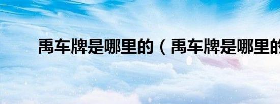禹车牌是哪里的（禹车牌是哪里的）