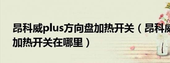 昂科威plus方向盘加热开关（昂科威方向盘加热开关在哪里）