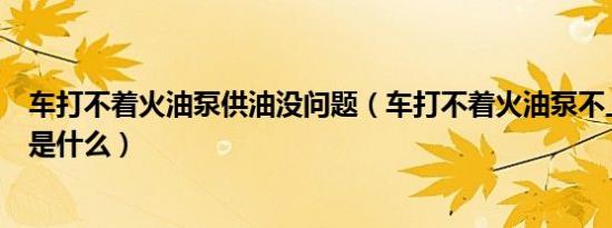 车打不着火油泵供油没问题（车打不着火油泵不上油的原因是什么）