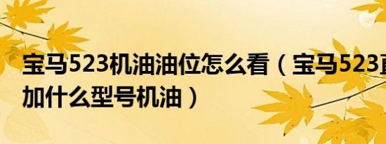 宝马523机油油位怎么看（宝马523直列六缸加什么型号机油）