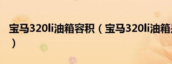 宝马320li油箱容积（宝马320li油箱是多少升）