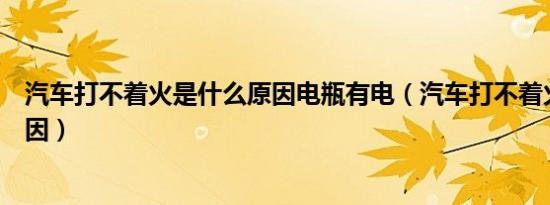 汽车打不着火是什么原因电瓶有电（汽车打不着火是什么原因）