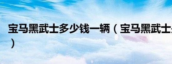 宝马黑武士多少钱一辆（宝马黑武士是什么车）