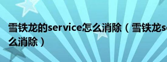 雪铁龙的service怎么消除（雪铁龙service怎么消除）