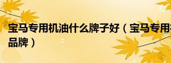 宝马专用机油什么牌子好（宝马专用机油什么品牌）