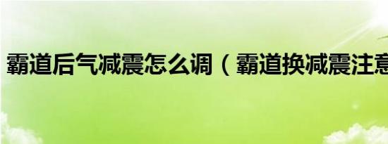 霸道后气减震怎么调（霸道换减震注意什么）