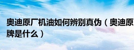 奥迪原厂机油如何辨别真伪（奥迪原厂机油品牌是什么）