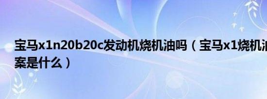 宝马x1n20b20c发动机烧机油吗（宝马x1烧机油的解决方案是什么）